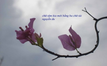 14 cái tâm của đời người